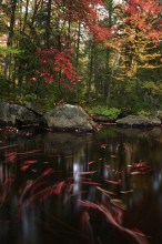Adirondack Autumn Stream