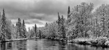 Ausable River spring snow dusting on riverbank trees -black and white