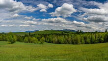 Donelly Corners farm fields sunny summer day with views of Whiteface Mt and McKenzie Mt