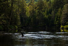 Fly fishing the Ausable River in Wilmington Notch