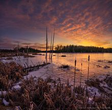 Gourdshell Ponds and cattails late winter sunset