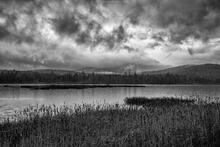 Lake Durant and cattails spring rain storm black and white