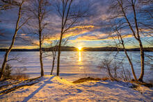 Lake Eaton shoreline birches with sunset over Owl's Head Mt in winter