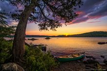 Long Lake summer sunset with a canoe and old arching cedar tree