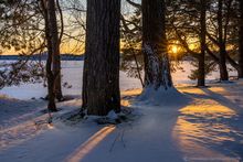 Meacham Lake state campground winter sunset through tall white pines