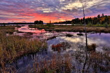 Raquette Lake,sunrise,red sunrise,brilliant sunrise,lake,Raquette,bog,Browns Tract Inlet,Brown's Tract Inlet