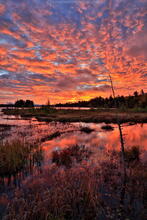 Raquette Lake,sunrise,red sunrise,brilliant sunrise,lake,Raquette,bog,Browns Tract Inlet,Brown's Tract Inlet