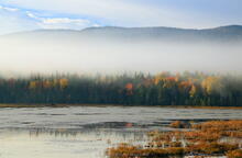 Shaw Pond fog layers, Long Lake