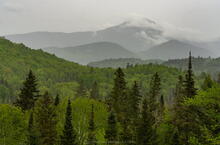 Whiteface Mt layers in spring rain from River Road area