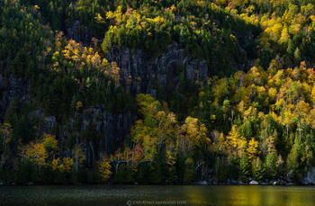 Chapel Pond and cliffs with birches in light