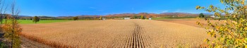 Peru, NY corn fields, Whiteface, Treetop
