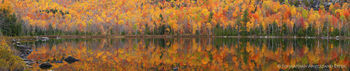 Round Pond shoreline autumn reflection panorama