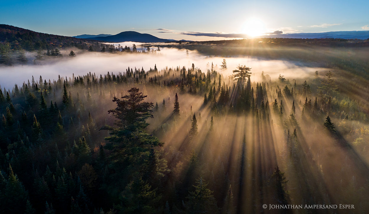 Big Brook valley fog lit up by sunrise light streaking through spruce and white pine treetops with Kempshall and the Seward...