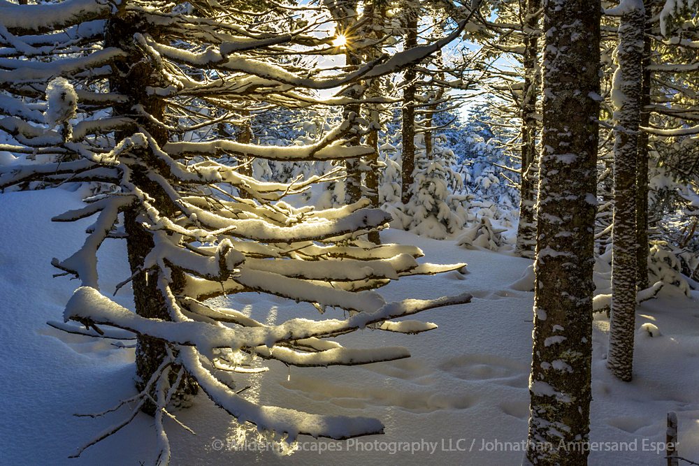 Cascade Mt,winter,snowy,forest,Cascade Mt forest,Adirondack Park,Adirondack Mountains,photography,Johnathan Esper,Adirondack...