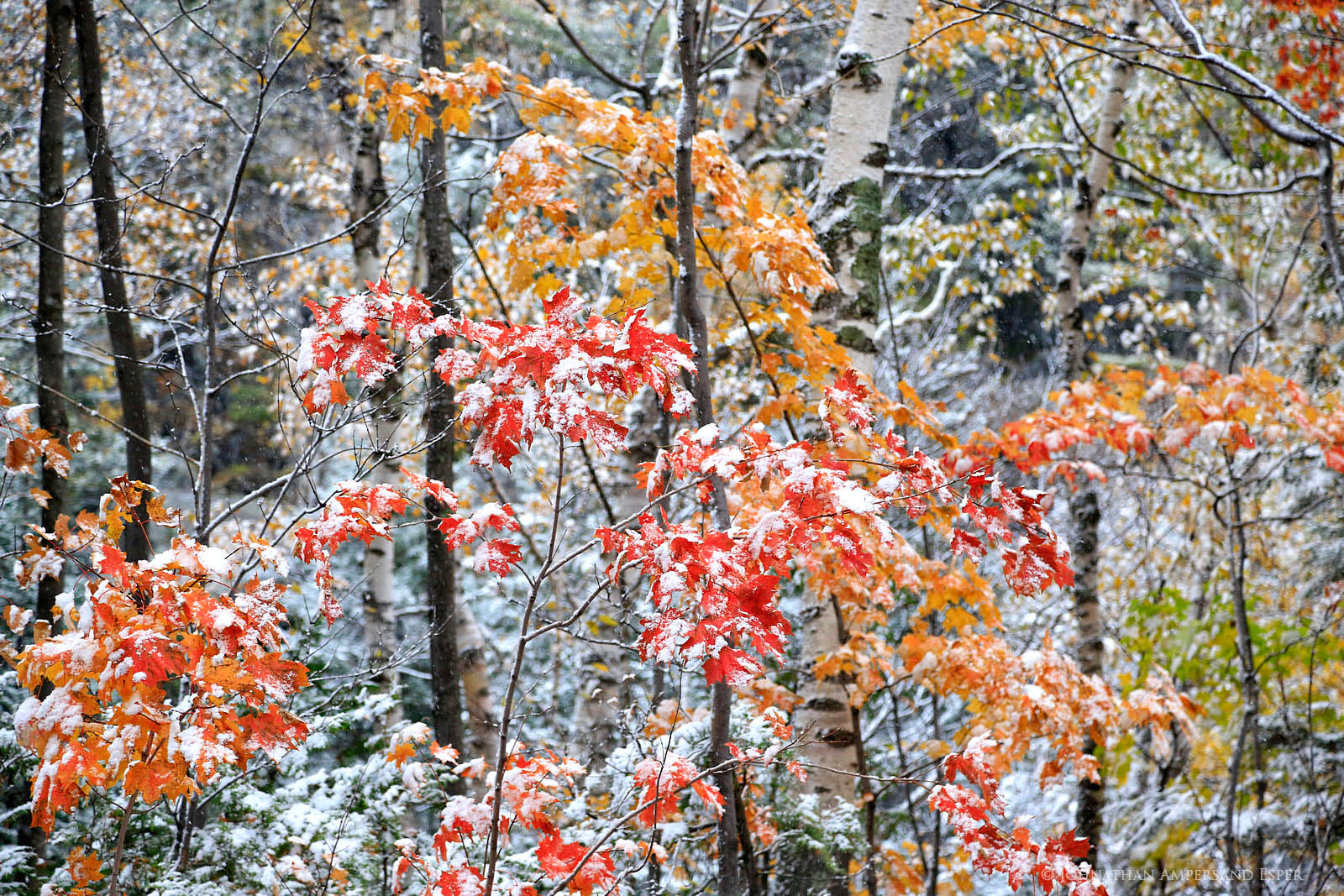Chapel Pond,autumn snowfall,autumn,snow,snowfall,snow dusting,October,forest,Adirondack,Adirondack forest,Johnathan Esper,fall...