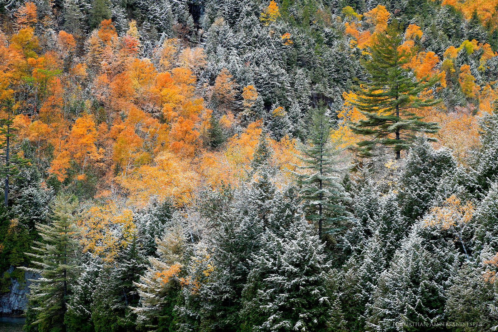 Chapel Pond,autumn snowfall,autumn,snow,snowfall,snow dusting,October,forest,Adirondack,Adirondack forest,Johnathan Esper,shoreline...