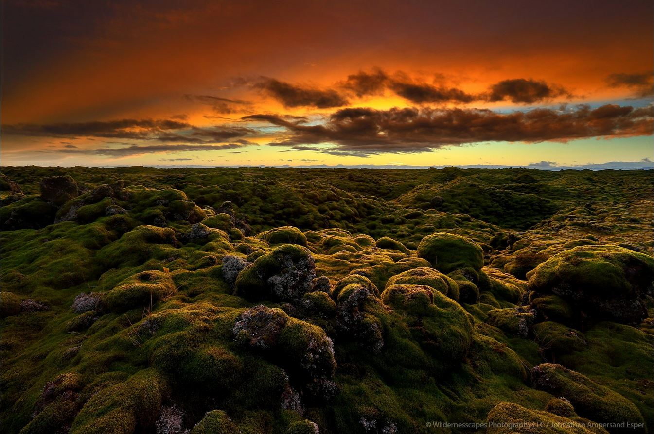 Eldhraun lava field, Iceland.