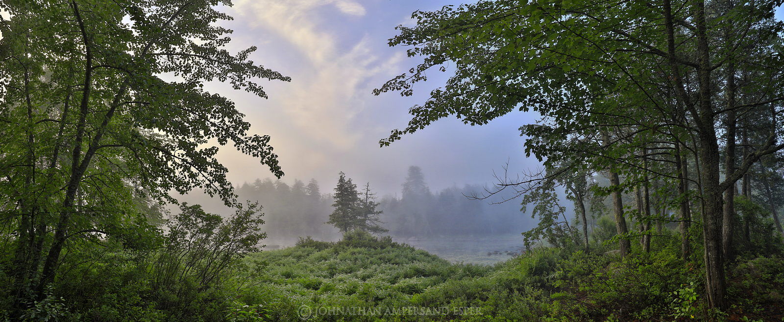 Long Lake,cedars,cedar,summer,Marie-Claude,fog