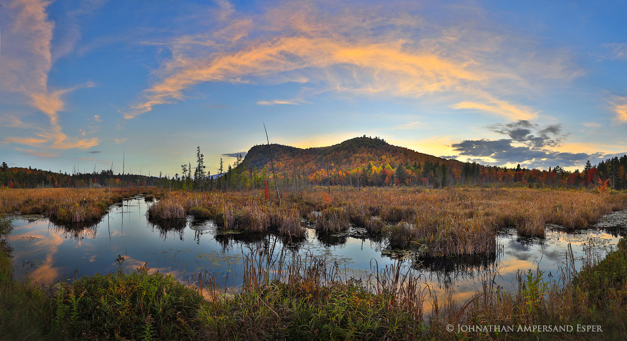 Moxham Mt.,Moxham Mt bog,bog,wetland,Adirondack wetlands,Moxham Mt,2018,fall,