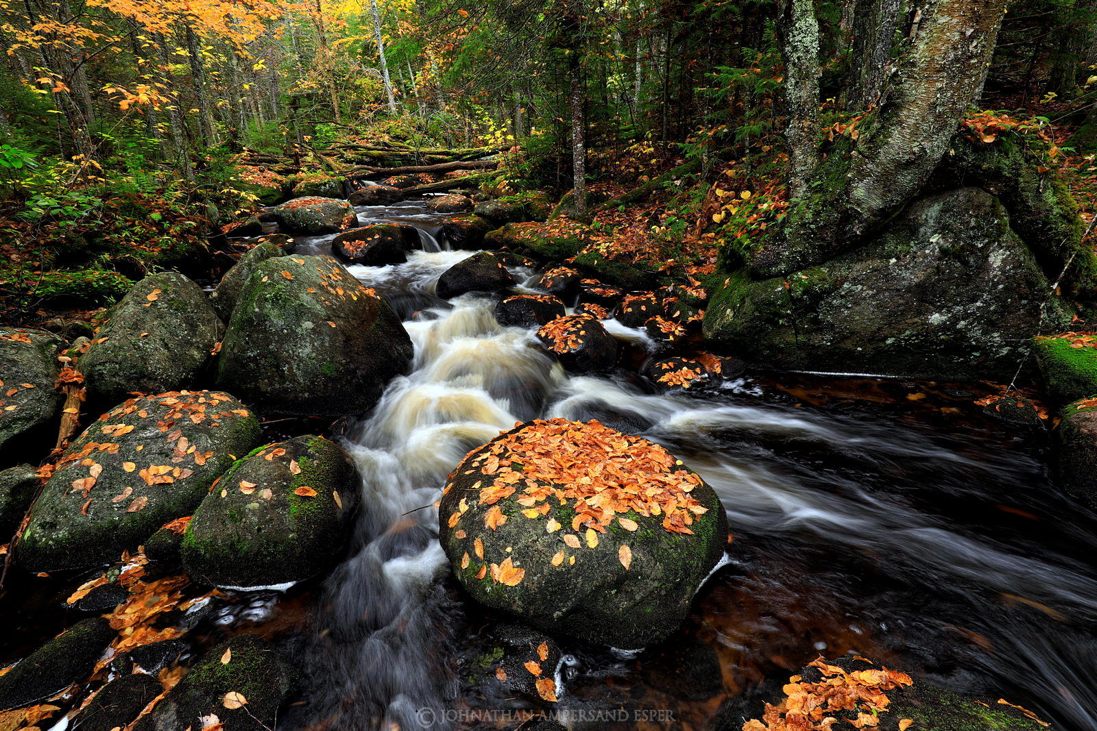 Pine Brook,Raquette River,boulder,fall leaves,stream,creek,