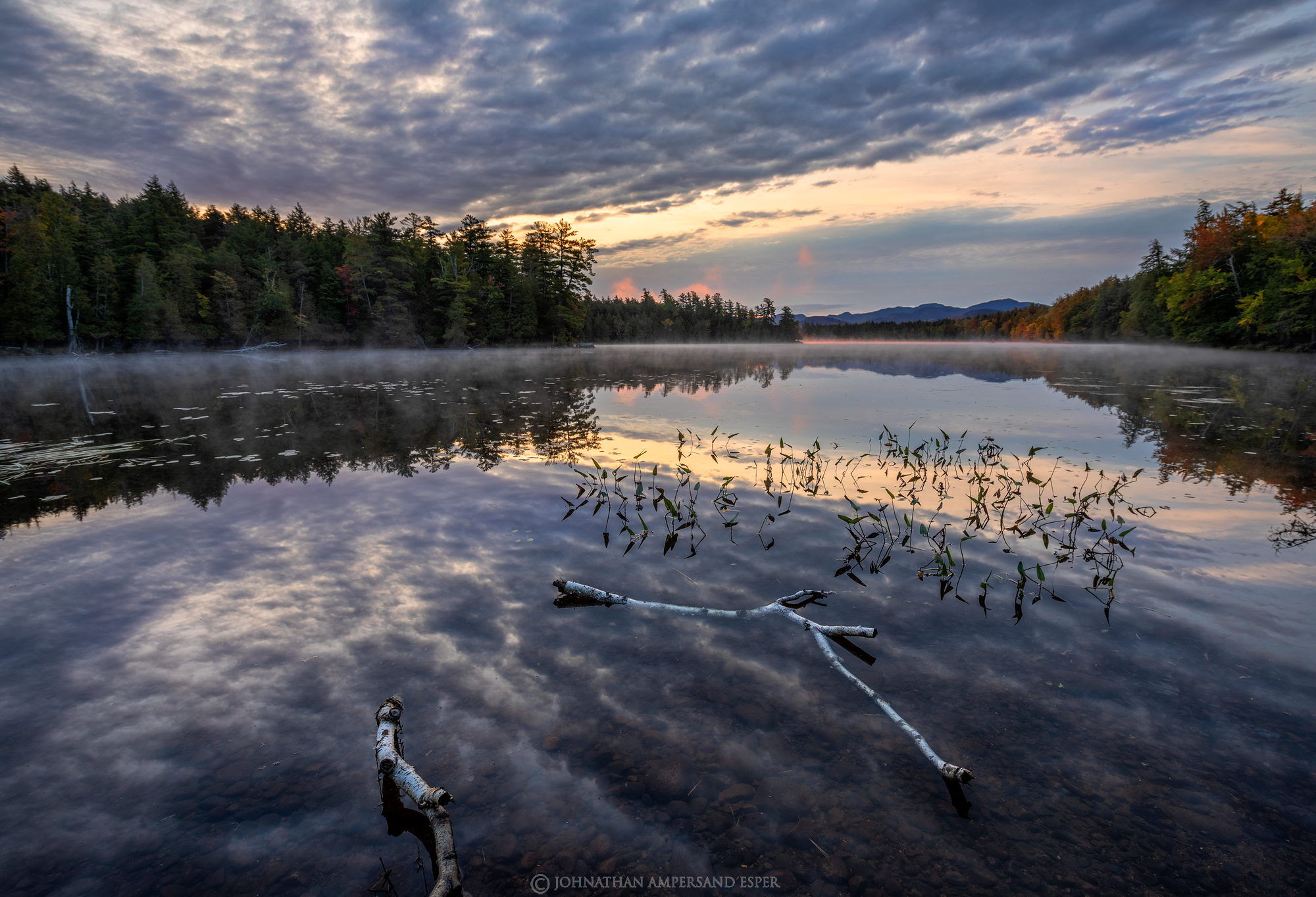 Adirondack Park, Adirondacks, Johnathan Esper, Wildernesscapes Photography,Second Pond,Second Pond boat launch,birch sticks,sticks...