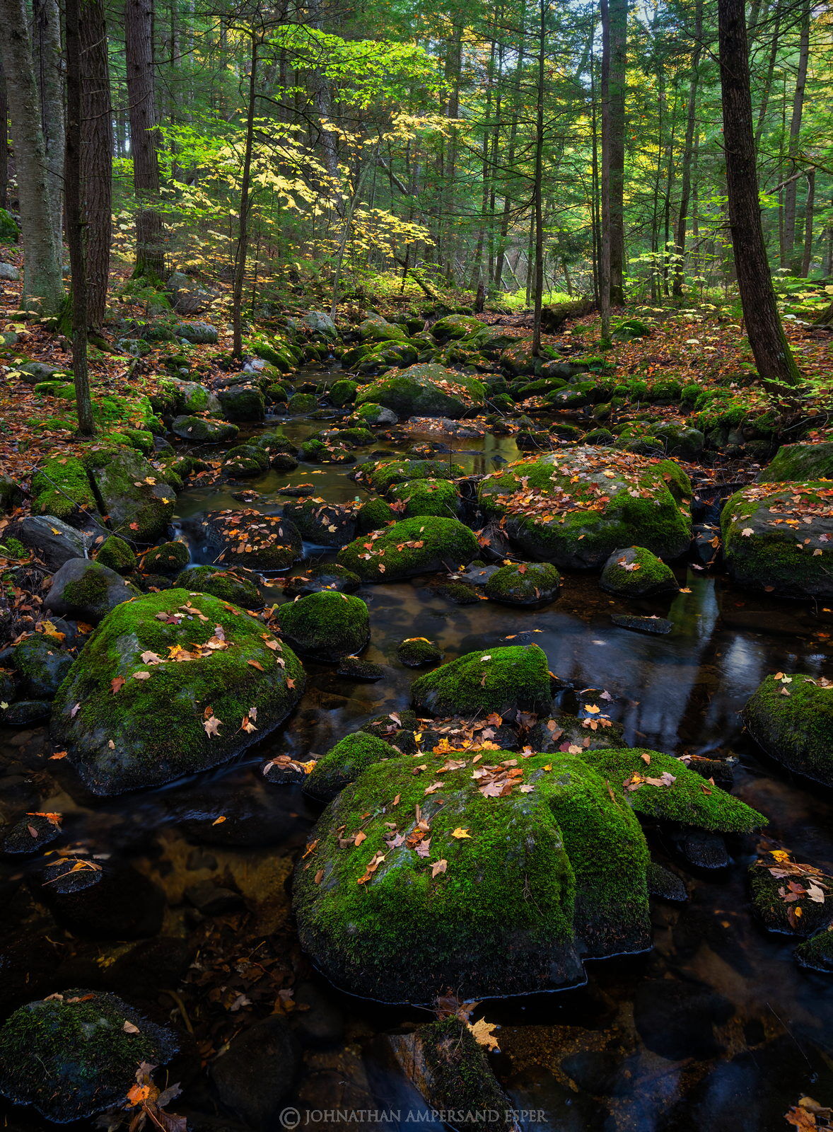 Spectacle Pond Outlet,stream,Shanty Bottom Brook,fall,2020,Spectacle Pond trail,mossy,mossy boulders,green boulders,moss