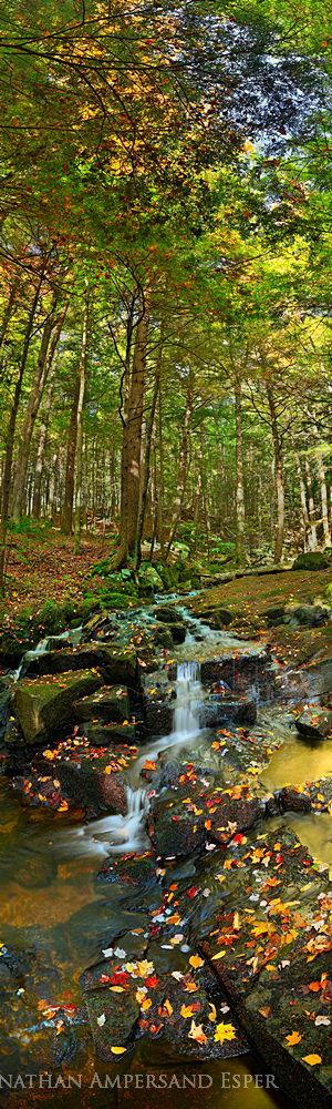 &nbsp;Spectacle Pond Outlet Brook vertical 180 degree panorama. &nbsp;(top third of image may be cropped off as printing option...