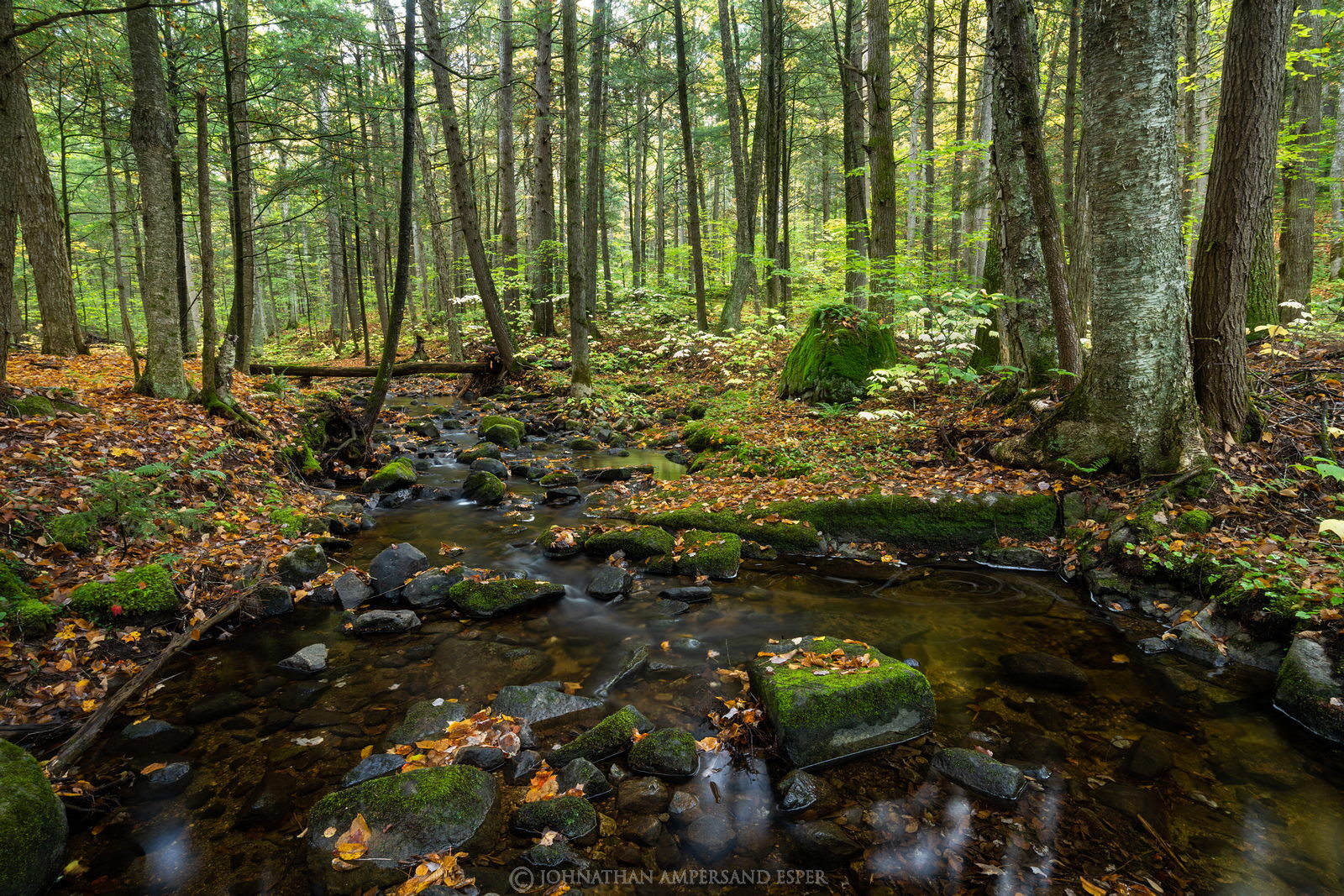 Adirondack Park, Adirondacks, Johnathan Esper, Wildernesscapes Photography,Spectacle Pond Outlet,stream,Shanty Bottom Brook,fall...