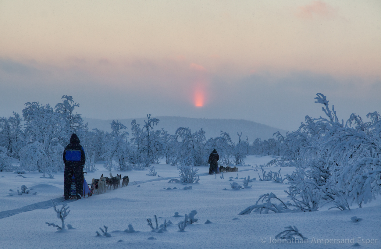 Dogsledding through the forest during sunset near Kiruna, Sweden, while on a 10 day trip in -30 to -20 degree C temperatures.