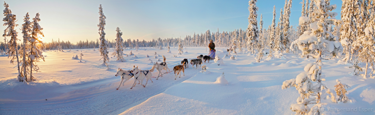 Dogsledding through the forest near Kiruna, Sweden, while on a 10 day trip in -30 to -20 degree C temperatures.