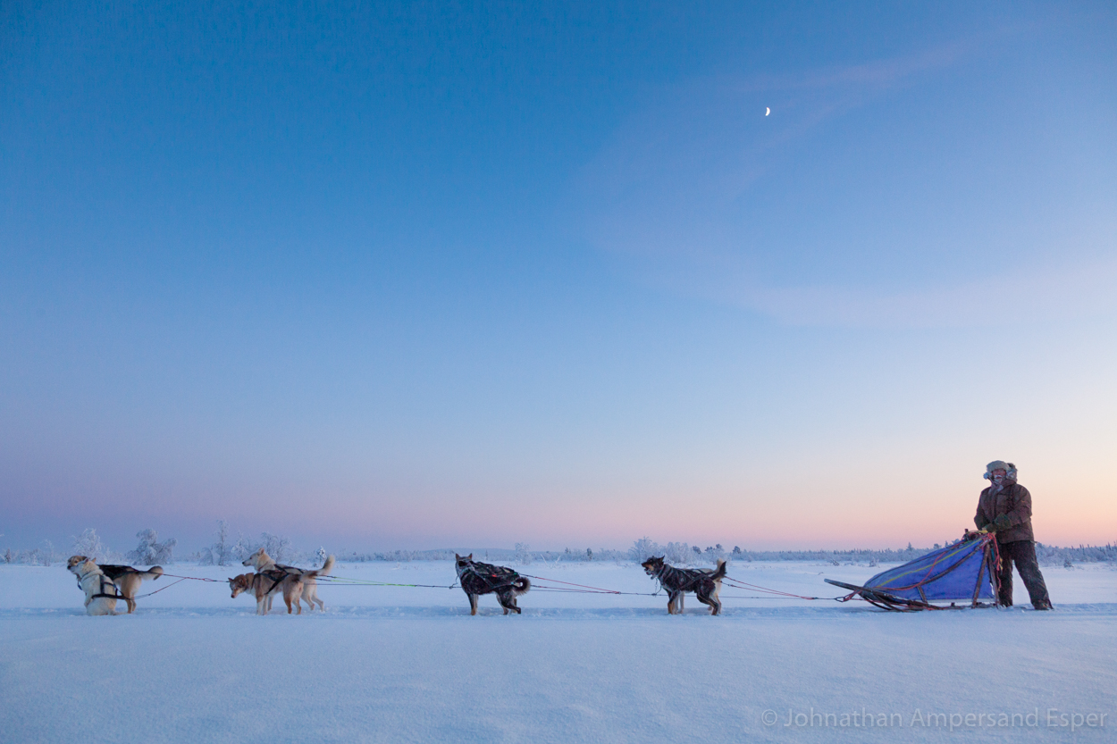 Dogsledding near Kiruna, Sweden, while on a 10 day trip in -30 to -20 degree C temperatures.