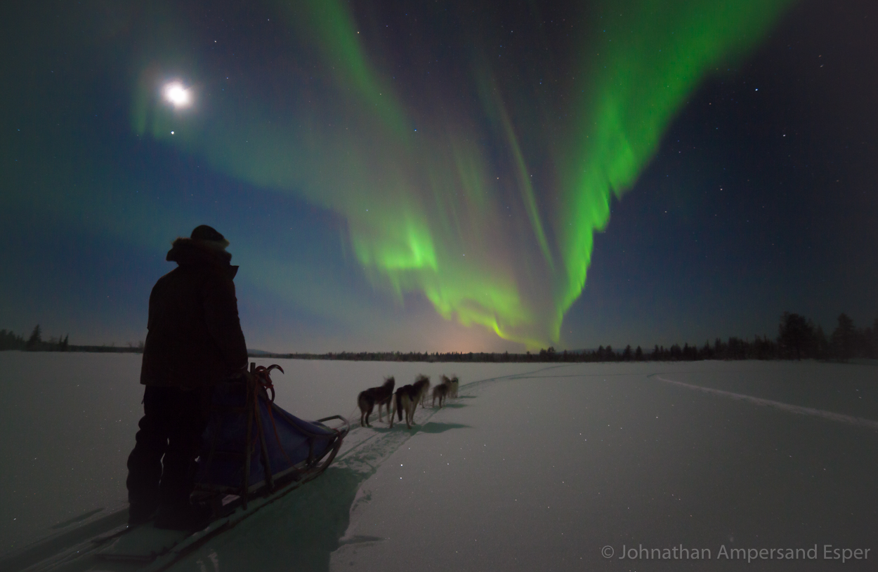 Dogsledding under an aurora borealis near Kiruna, Sweden, while on a 10 day trip in -30 to -20 degree C temperatures.