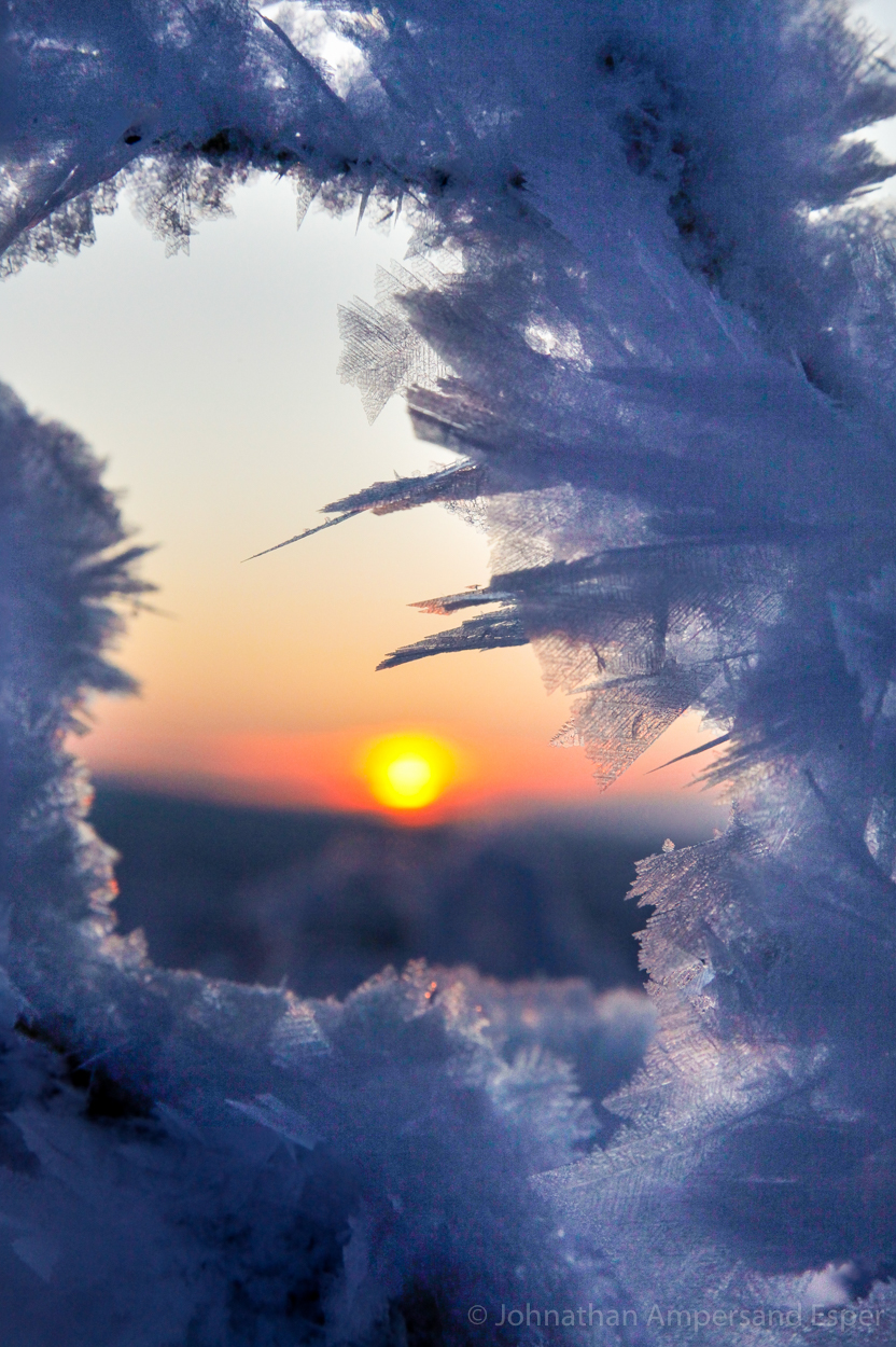 An icy sunset through frozen branches. Captured during a 10 day dogsledding trip in -30 to -20 degree C temperatures near Kiruna...