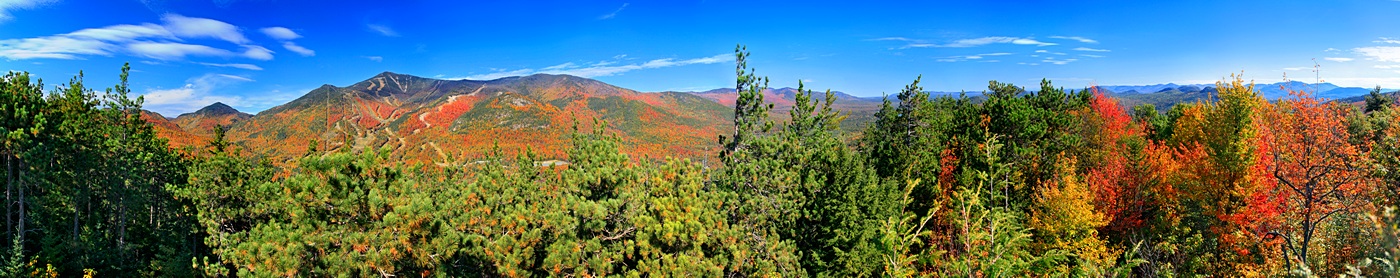 Whiteface Mt. Ski Area from hemlock treetop on Sentinel Range This photo on clearance! 84"x14" Plaq-mounted version = $220!...