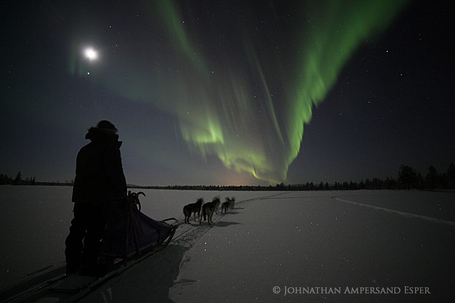&nbsp;Dogsled guide Einar Lindbom under the northern lights and a full moon, while on a dogsledding trip through Lappland Sweden...
